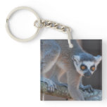 Young Lemur Keychain