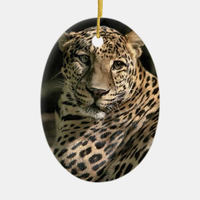 Young Leopard Christmas Ornament (Front)