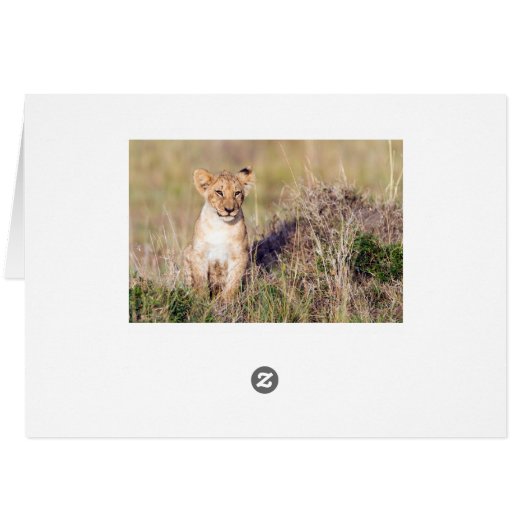 Young lion (Back Horizontal)