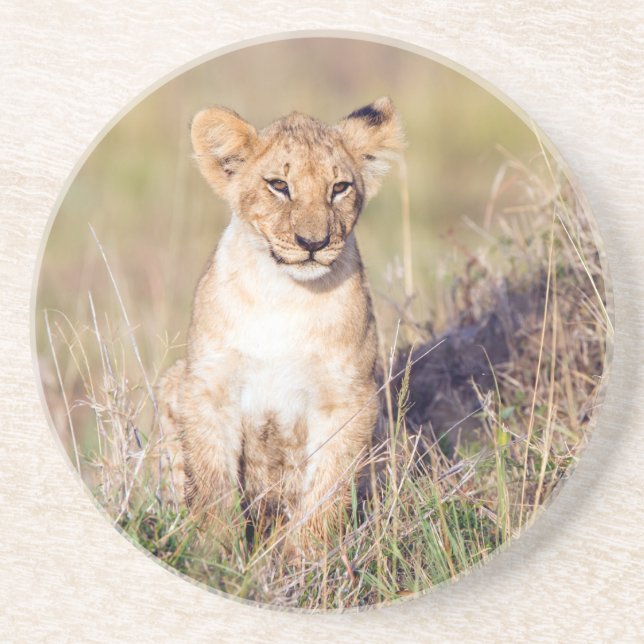 Young lion drink coaster (Front)