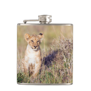 Young lion hip flask