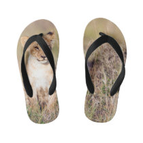 Young lion kid's flip flops Young lion kid's flip flops