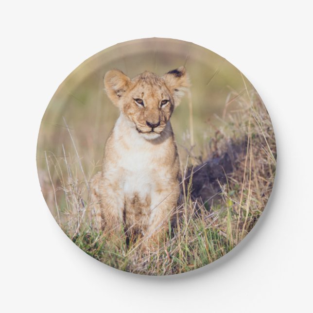 Young lion paper plates (Front)