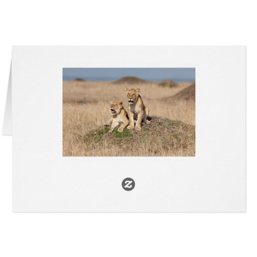 Young lions (Back Horizontal)