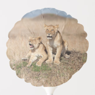 Young lions balloon