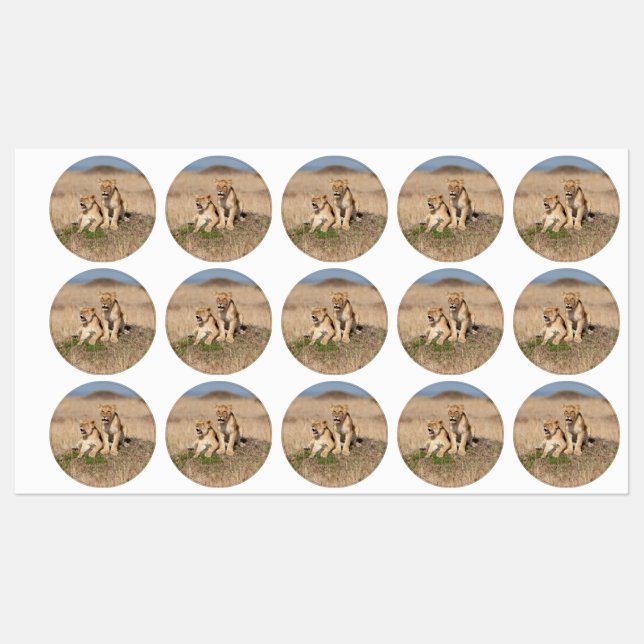 Young lions labels (Sheet)