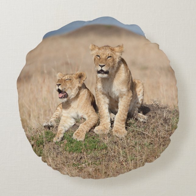 Young lions round pillow (Back)