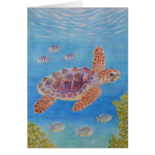 Young Loggerhead Sea Turtle Cards