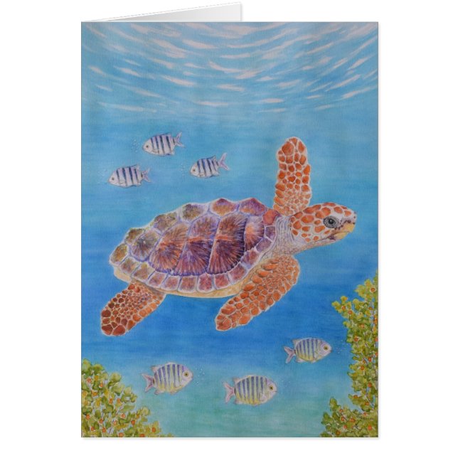 Young Loggerhead Sea Turtle Cards (Front)