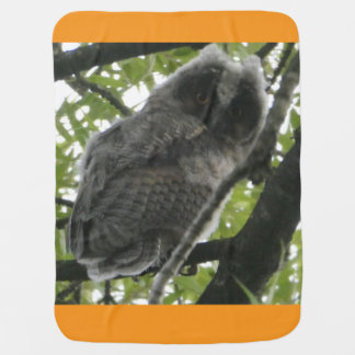 Young Long-eared Owl Baby Blanket