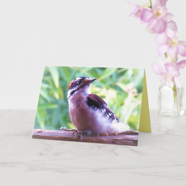Young Male Downy Woodpecker on Railing Card (Orchid)