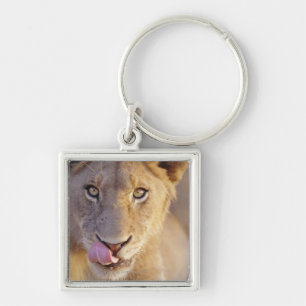 Young Male Lion Keychain