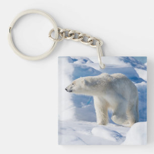 Young Male Polar Bear Keychain
