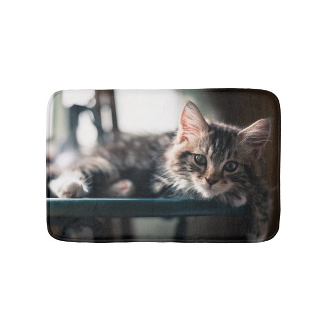 Young Male Tabby Cat 2 Bathroom Mat (Front)