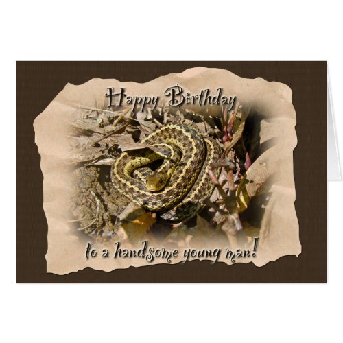 Young Man Birthday _ Eastern Garter Snake