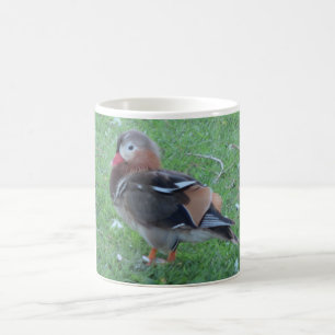 Young Mandarin Duck Mug