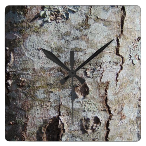 Young Maple Tree Bark 0041 Square Wall Clock