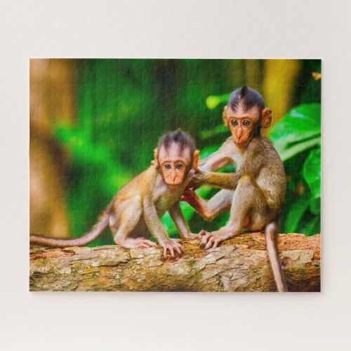 Young Monkeys Jigsaw Puzzle