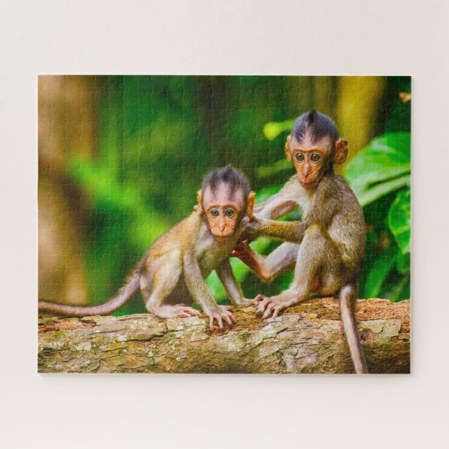 Young Monkeys. Jigsaw Puzzle (Horizontal)