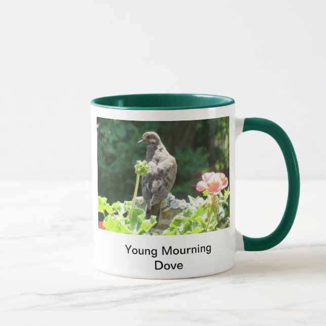Young Mourning dove Mug (Right)