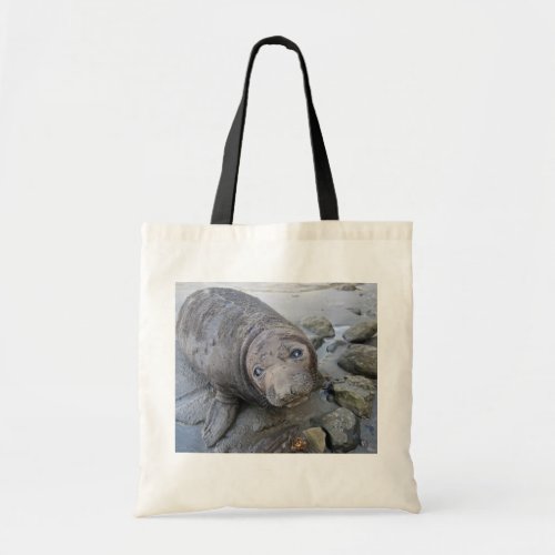 Young Northern Elephant Seal Tote Bag