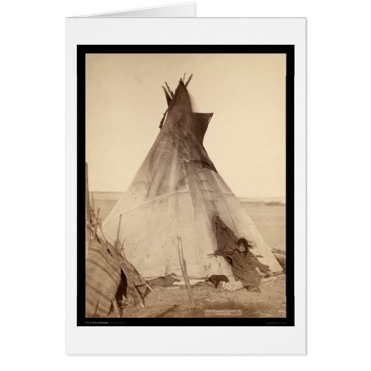 Young Oglala Indian Outside Tipi SD 1891 Cards (Front)