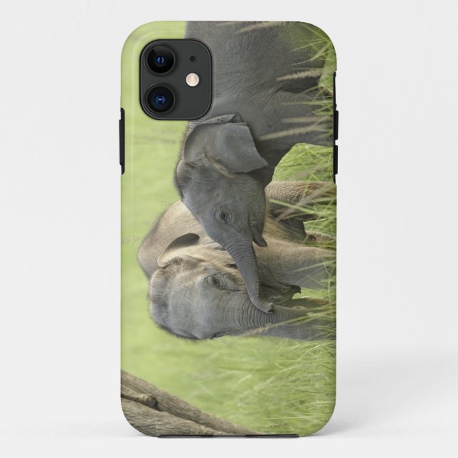 Young ones of Indian / Asian Elephant Case-Mate iPhone Case (Back)