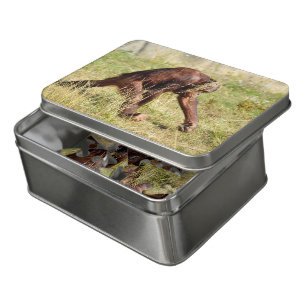 Young orangutan walking on grass  jigsaw puzzle