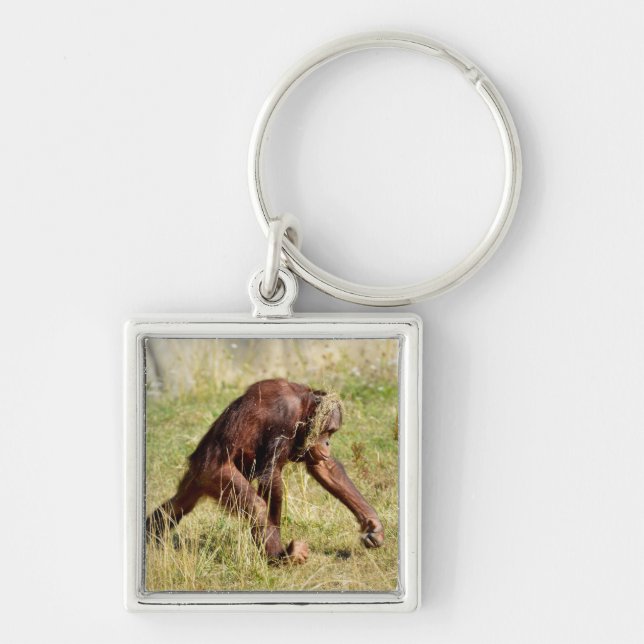Young orangutan walking on grass   keychain (Front)