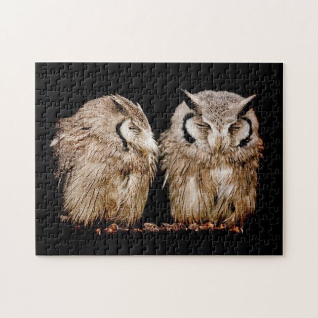 Young Owlets Jigsaw Puzzle (Horizontal)