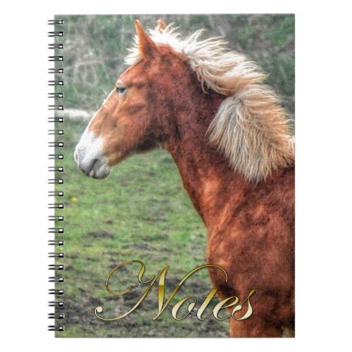 Young Palomino Colt Horse_lovers Design Notebook