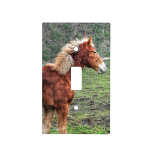 Young Palomino Farm Horse _ Equine Photo Light Switch Cover