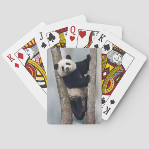 Young Panda climbing a tree, China Poker Cards