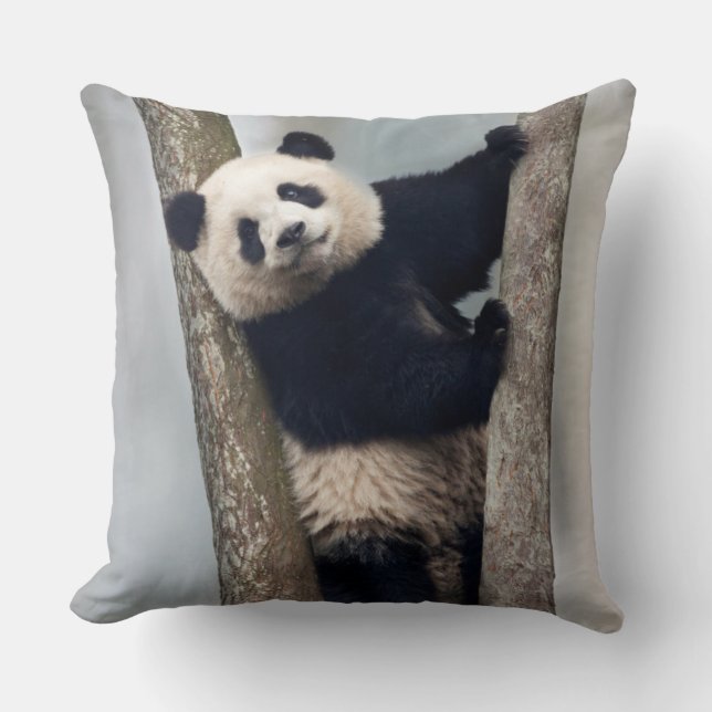 Young Panda climbing a tree, China Throw Pillow (Front)