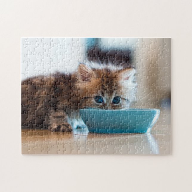 Young Persian Kitten Jigsaw Puzzle (Horizontal)