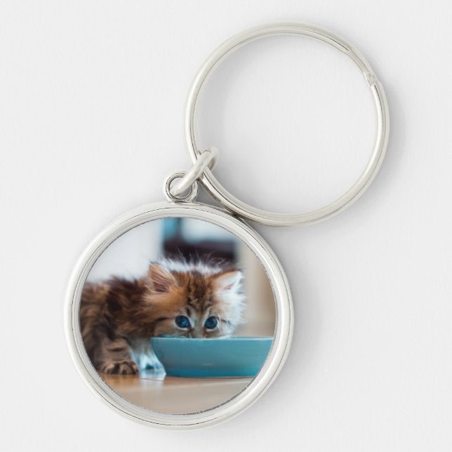 Young Persian Kitten Keychain (Front)
