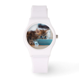 Young Persian Kitten Watch