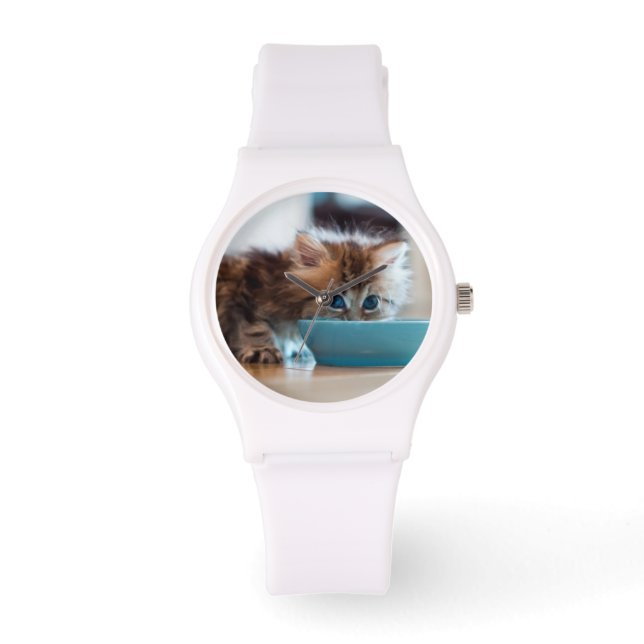 Young Persian Kitten Watch (Front)