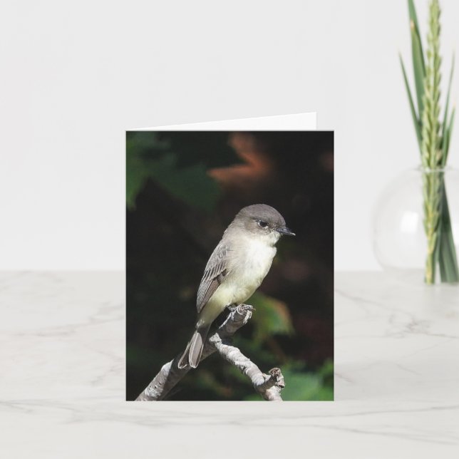 Young Phoebe blank inside Card (Front)