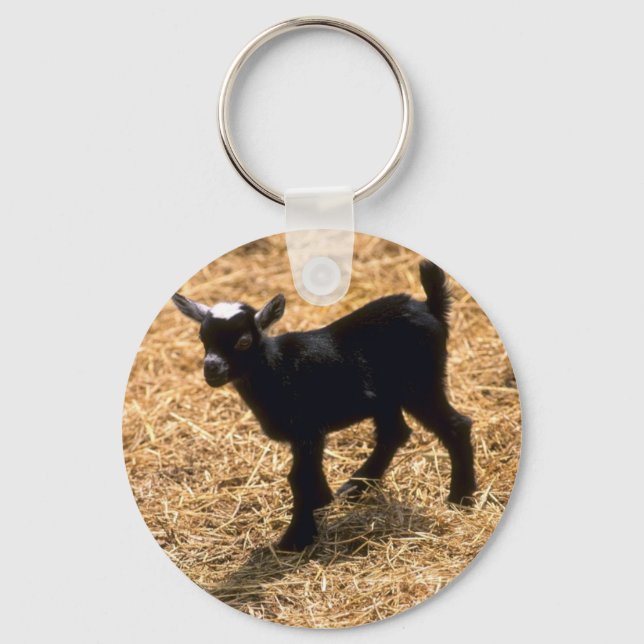 Young Pigmy Goat Keychain (Front)