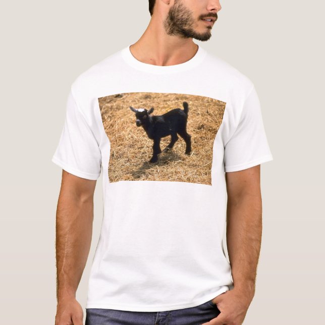 Young Pigmy Goat T-Shirt (Front)
