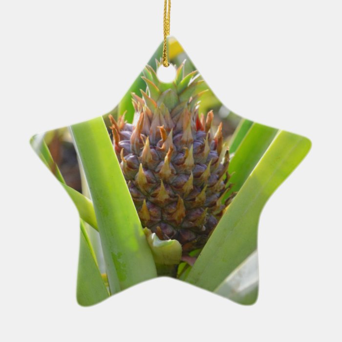 Young Pineapple Christmas Ornaments