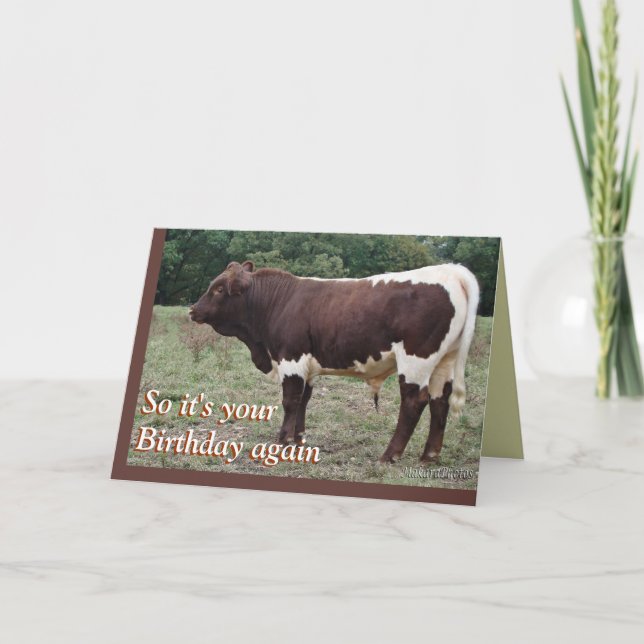Young Pinzgauer Bull- customize any occasion Card (Front)