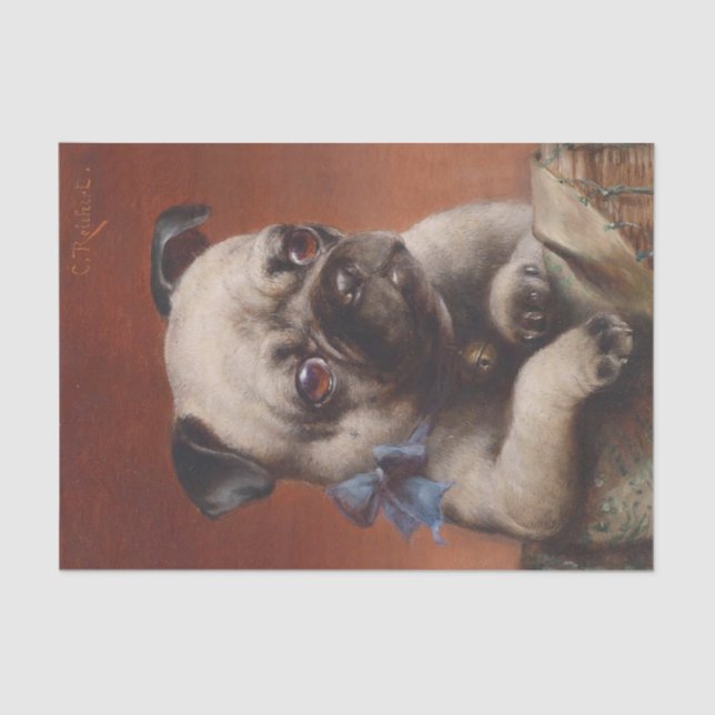 Young Pug by Carl Reichert Tissue Paper (Front)