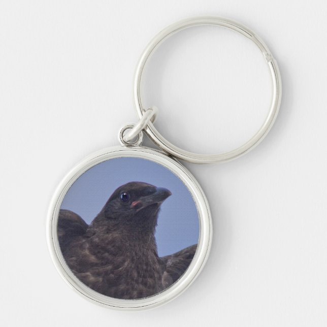 Young Raven on Quesnel Bridge w Sky Keychain (Front)