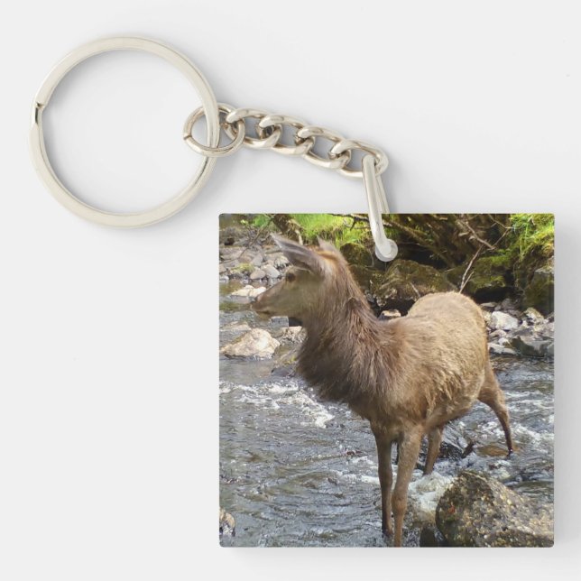 Young Red Deer on River  Keychain (Front)