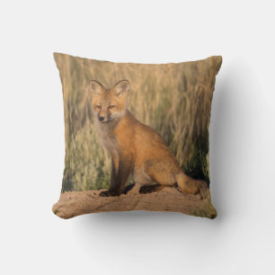 Young Red Fox at Golden Hour Throw Pillow