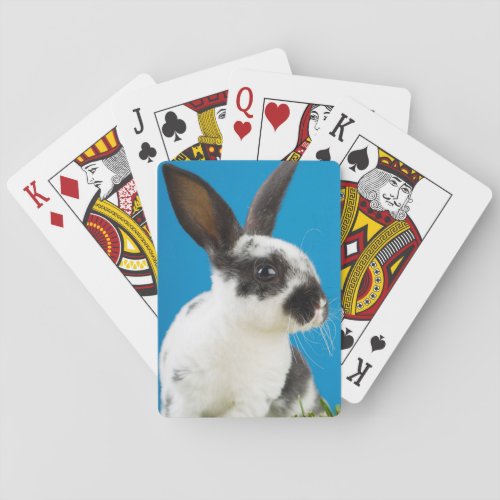 Young Rex rabbit Poker Cards