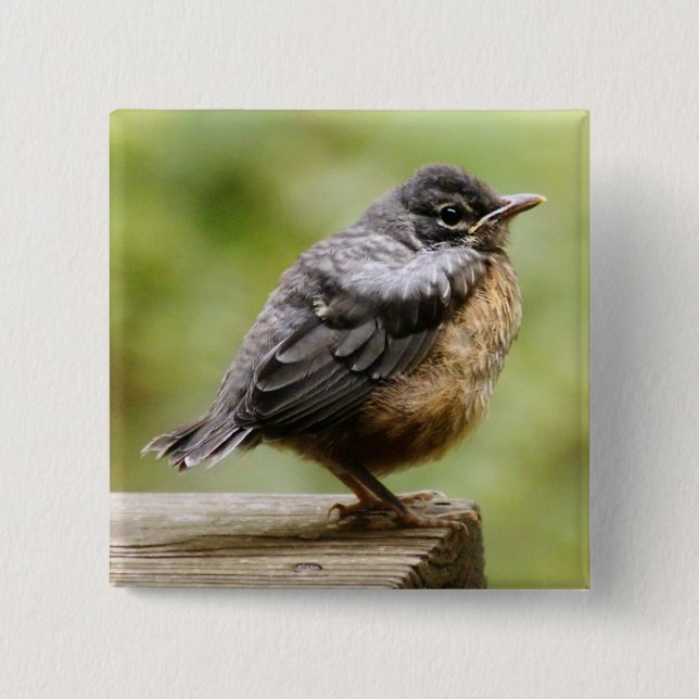 Young Robin Button (Front)