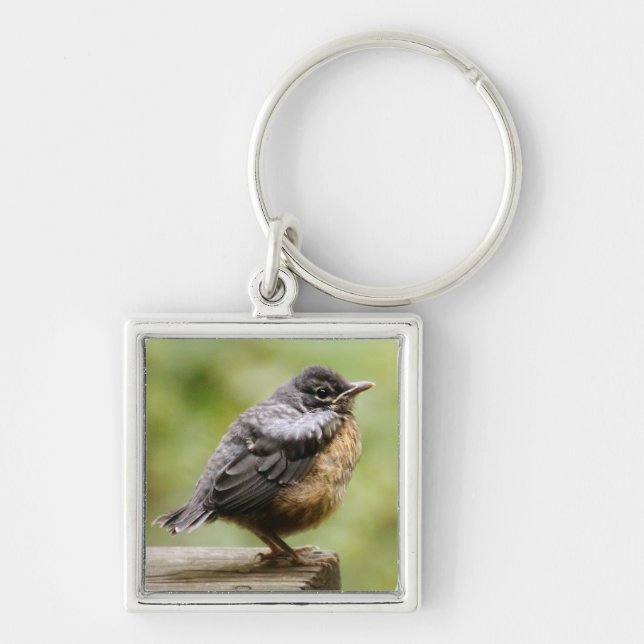 Young Robin Keychain (Front)